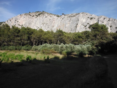 Cliquez pour agrandir l'image