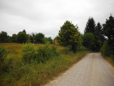 Cliquez pour agrandir l'image
